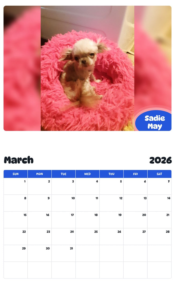 November 2025 - October 2026 Sadie May - Pawidols Pet Calendar