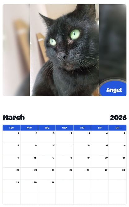 November 2025 - October 2026 Angel - Pawidols Pet Calendar