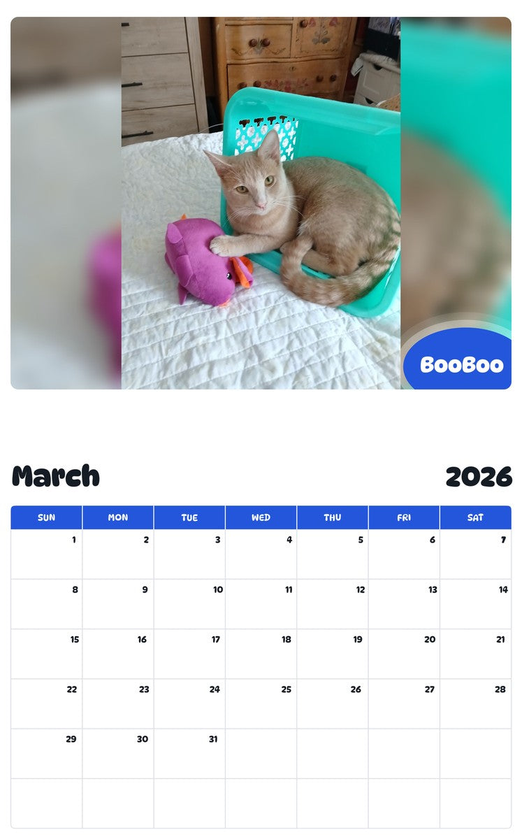 November 2025 - October 2026 BooBoo - Pawidols Pet Calendar