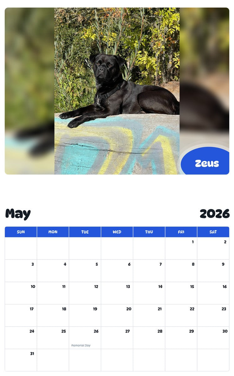 2026 - 2027 Zeus - Pawidols Pet Calendar