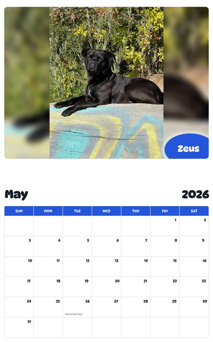 2026 - 2027 Zeus - Pawidols Pet Calendar