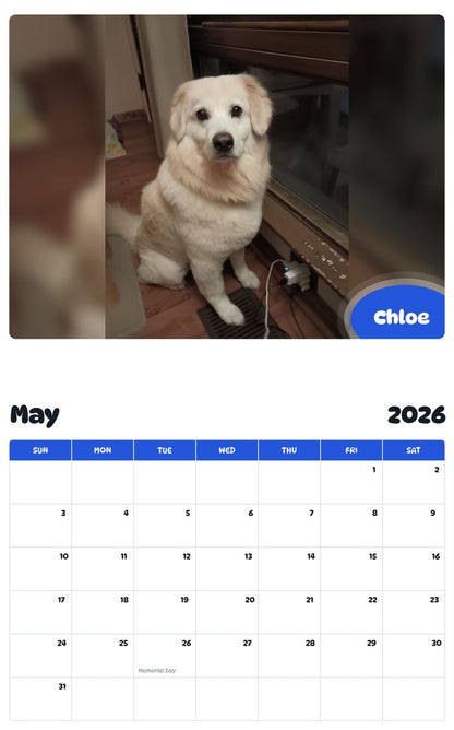 2026 - 2027 Chloe - Pawidols Pet Calendar