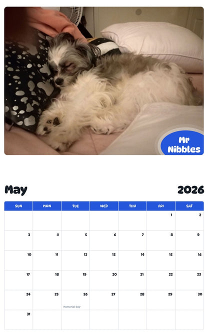 2026 - 2027 Mr Nibbles - Pawidols Pet Calendar
