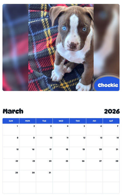November 2025 - October 2026 Chockie - Pawidols Pet Calendar