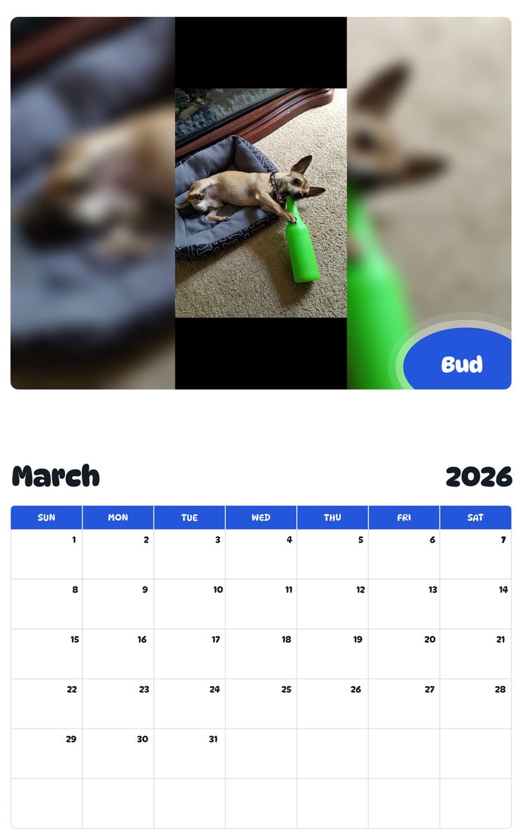 November 2025 - October 2026 Bud - Pawidols Pet Calendar