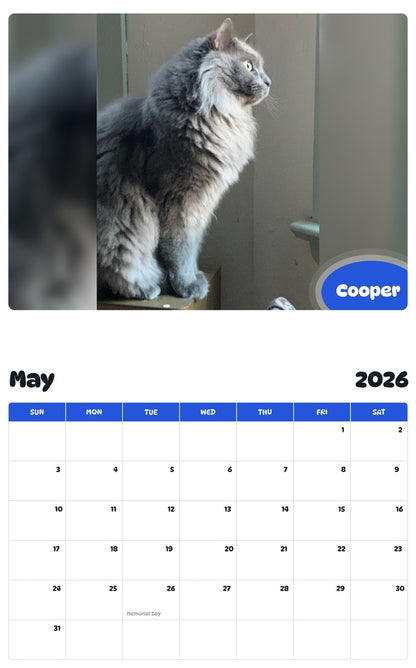 2026 - 2027 Cooper - Pawidols Pet Calendar