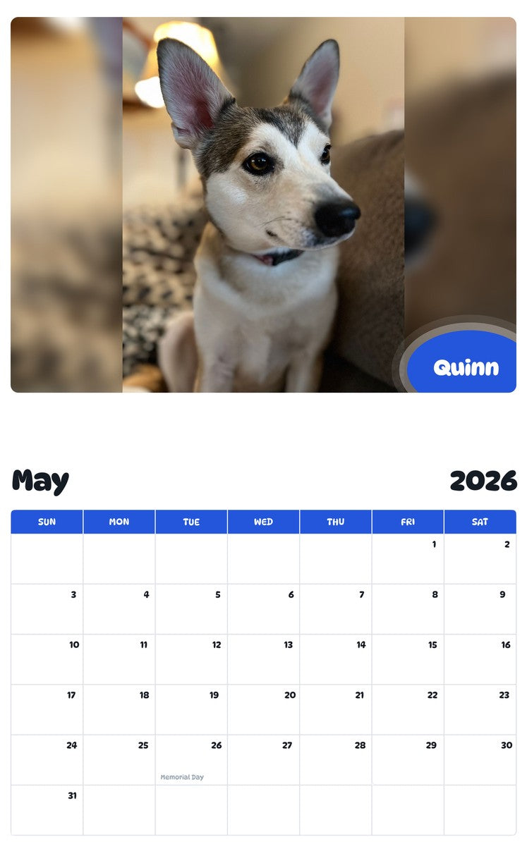 2026 - 2027 Quinn - Pawidols Pet Calendar