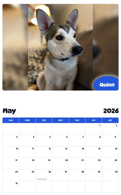 2026 - 2027 Quinn - Pawidols Pet Calendar