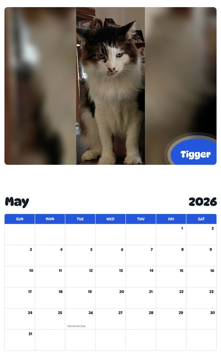 2026 - 2027 Tigger - Pawidols Pet Calendar