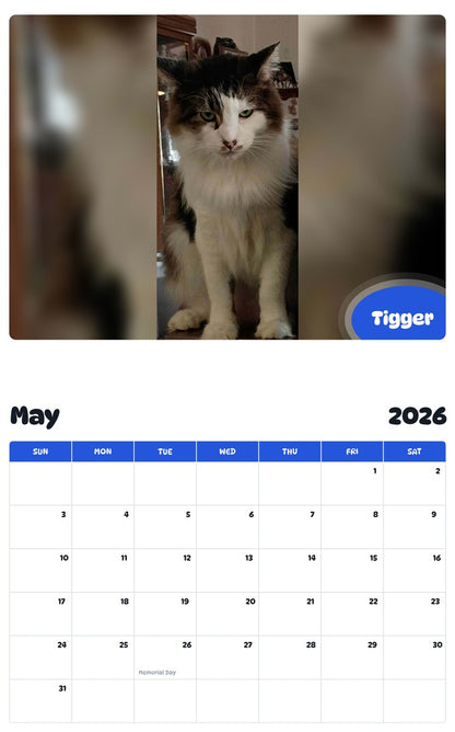 2026 - 2027 Tigger - Pawidols Pet Calendar