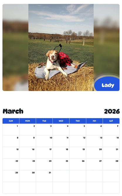 November 2025 - October 2026 Lady - Pawidols Pet Calendar