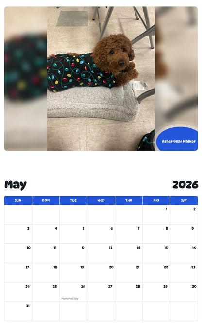2026 - 2027 Asher Bear Walker - Pawidols Pet Calendar