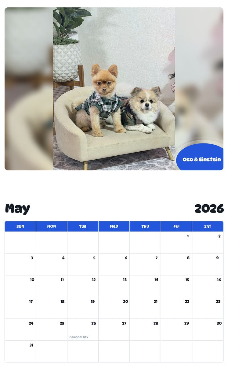 2026 - 2027 Oso & Einstein - Pawidols Pet Calendar