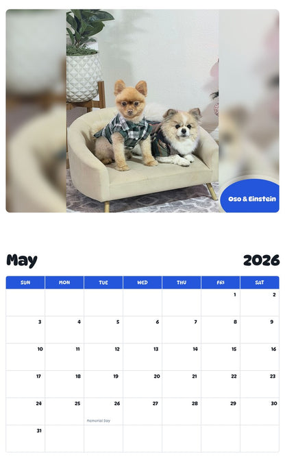2026 - 2027 Oso & Einstein - Pawidols Pet Calendar