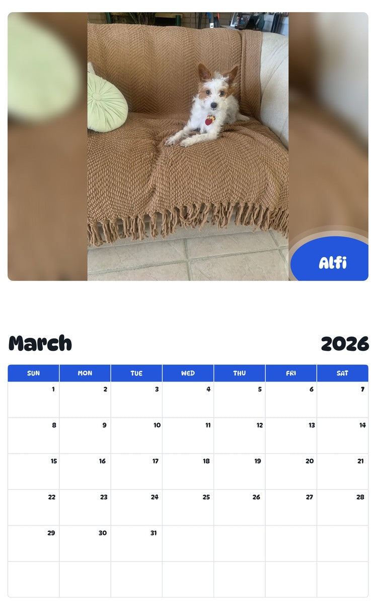November 2025 - October 2026 Alfi - Pawidols Pet Calendar