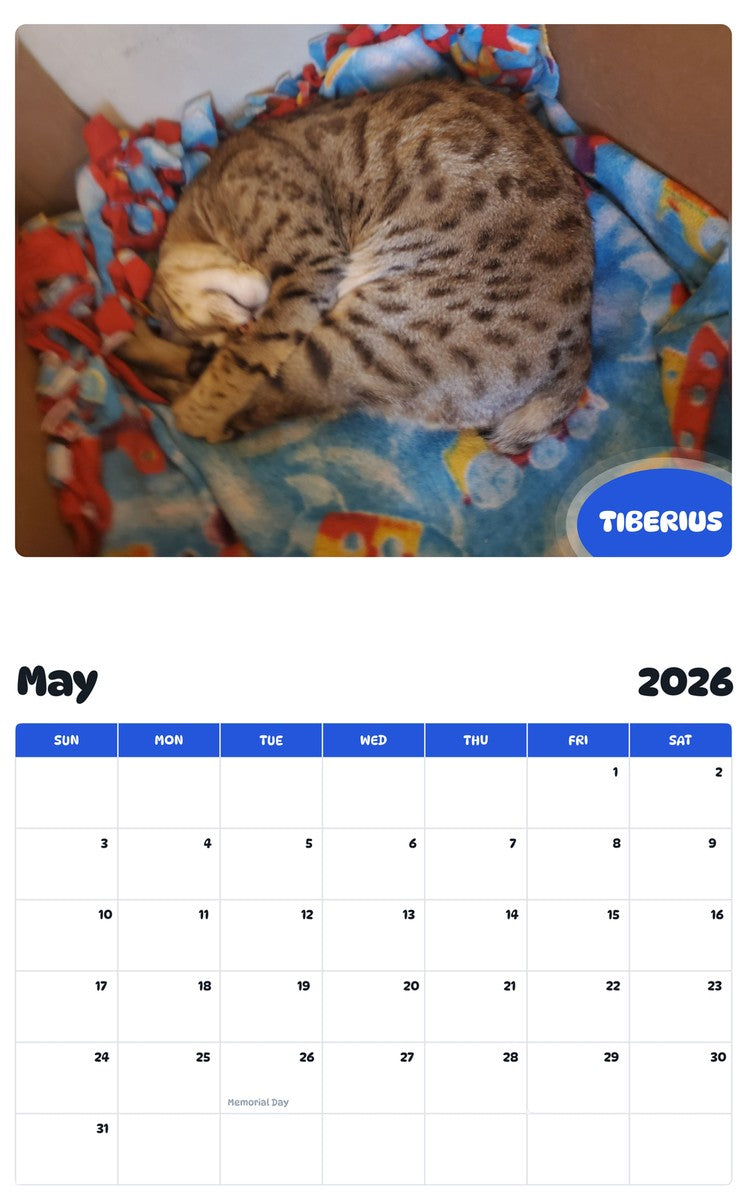 2026 - 2027 TIBERIUS - Pawidols Pet Calendar