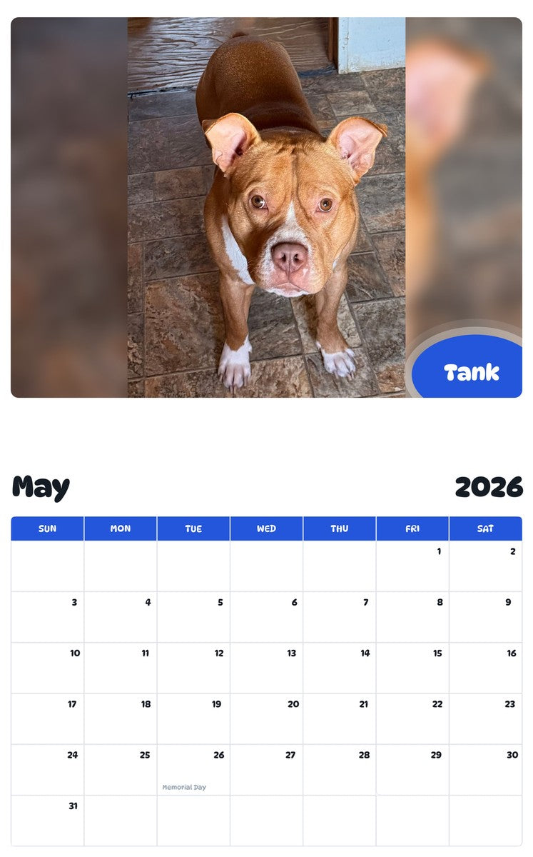 2026 - 2027 Tank - Pawidols Pet Calendar