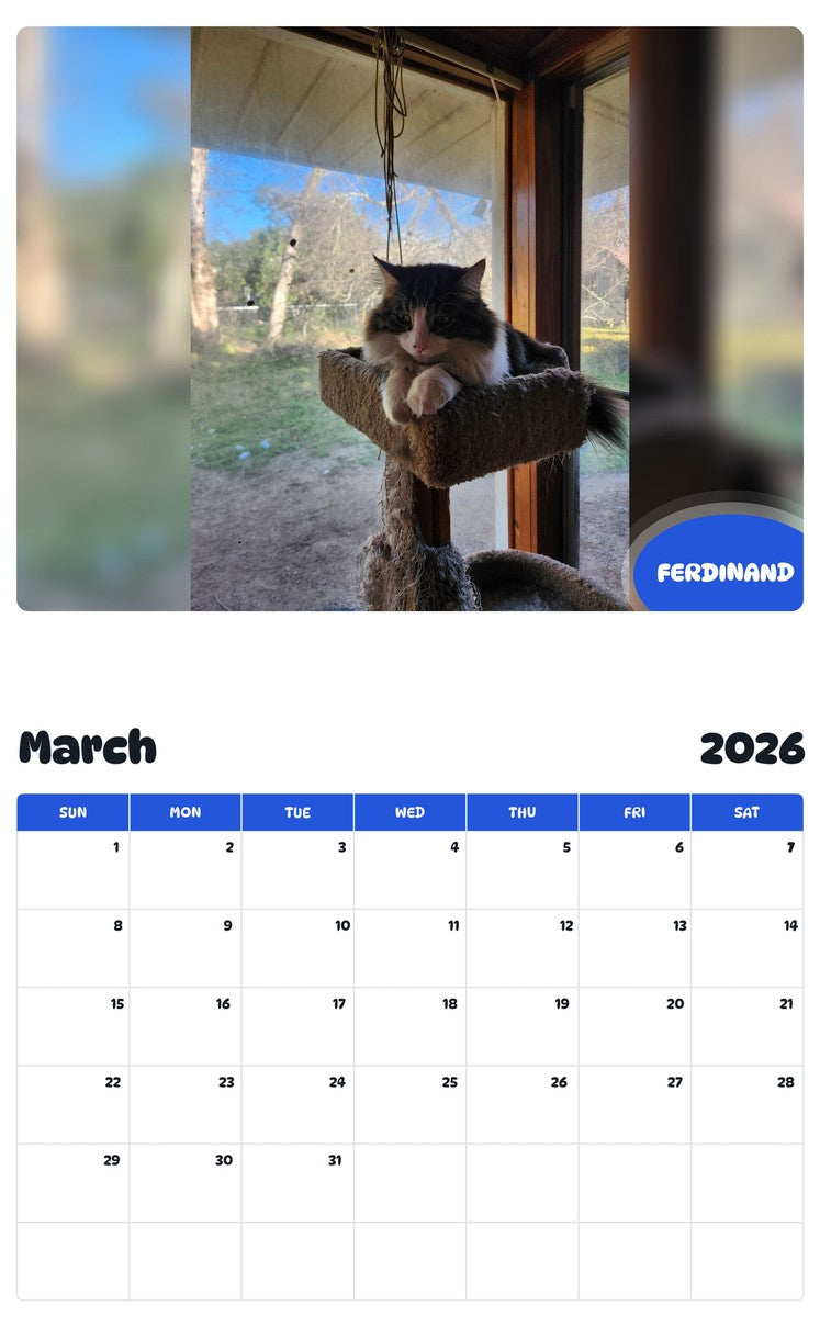 November 2025 - October 2026 FERDINAND - Pawidols Pet Calendar