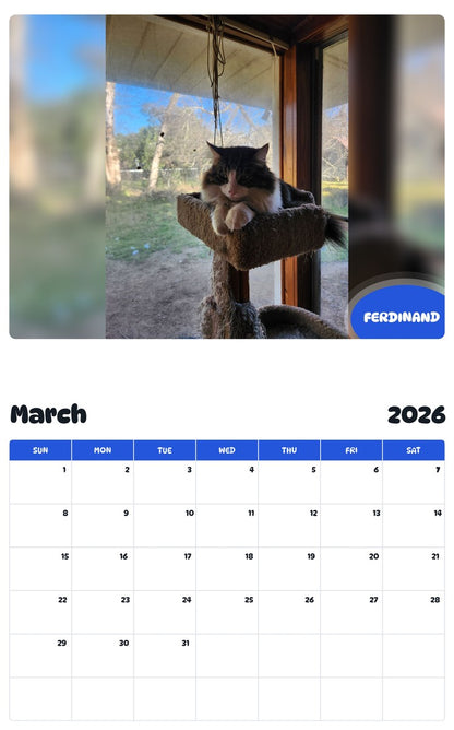November 2025 - October 2026 FERDINAND - Pawidols Pet Calendar