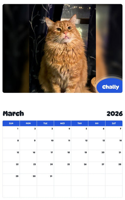 November 2025 - October 2026 Chally - Pawidols Pet Calendar