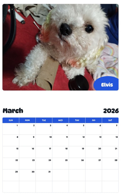 November 2025 - October 2026 Elvis - Pawidols Pet Calendar