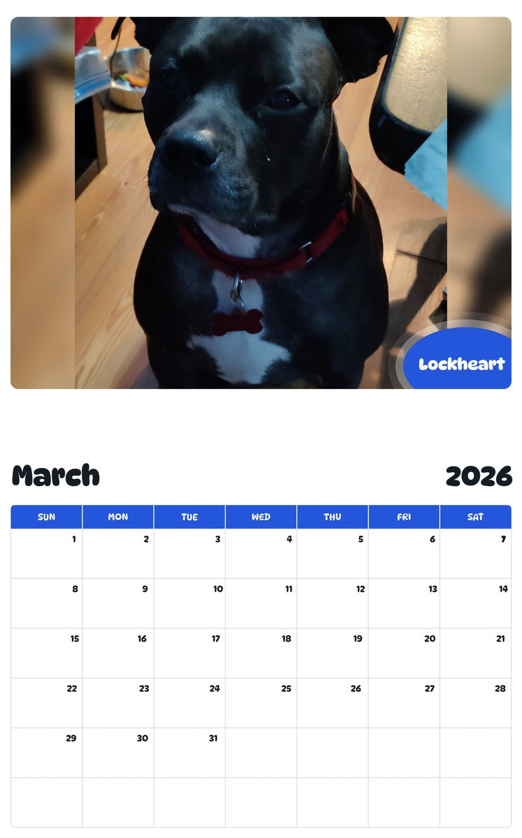 November 2025 - October 2026 Lockheart - Pawidols Pet Calendar