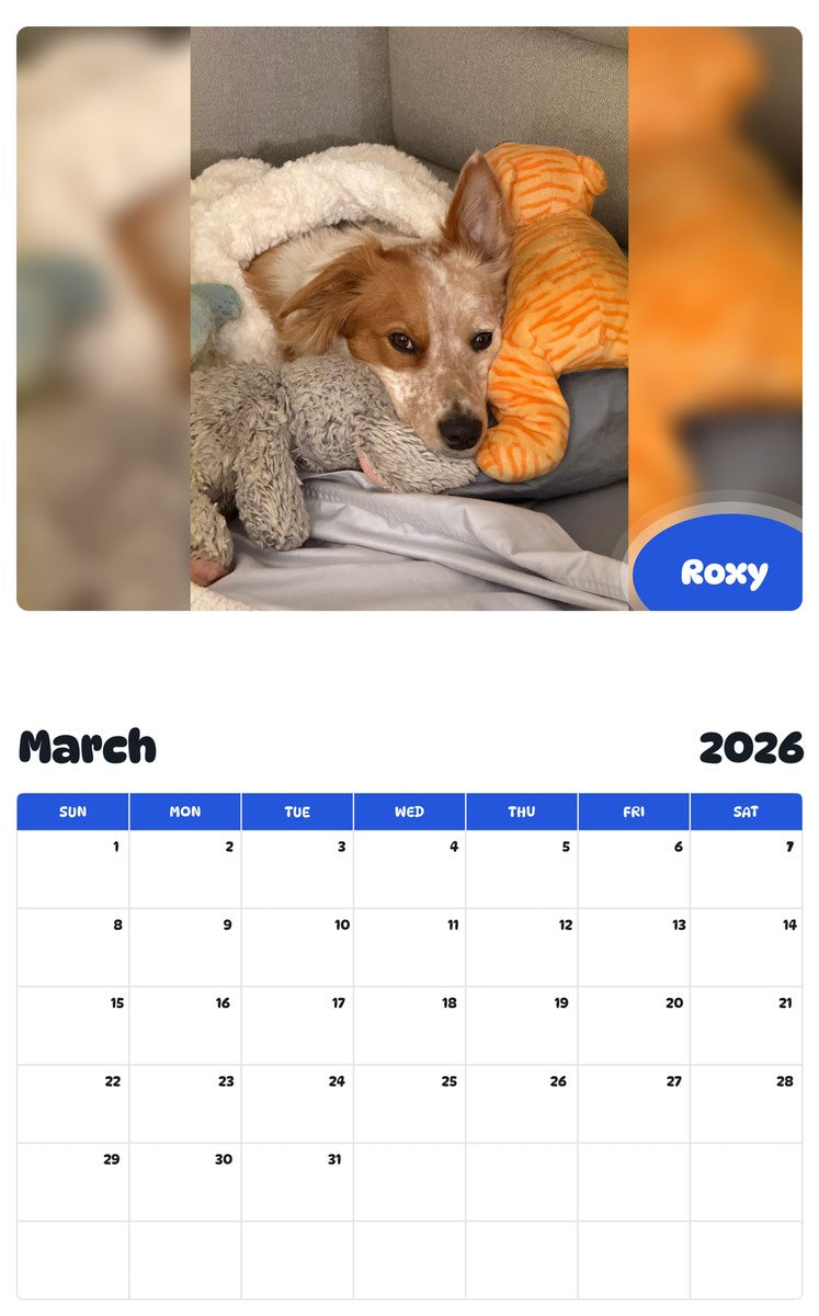 November 2025 - October 2026 Roxy - Pawidols Pet Calendar