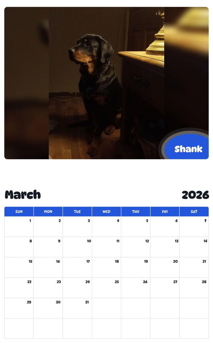 November 2025 - October 2026 Shank - Pawidols Pet Calendar