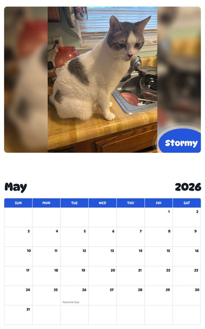 2026 - 2027 Stormy - Pawidols Pet Calendar