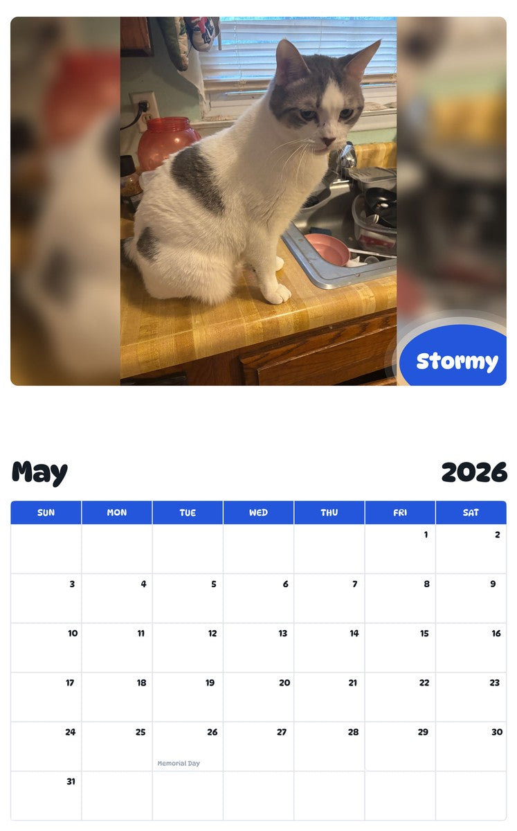 2026 - 2027 Stormy - Pawidols Pet Calendar