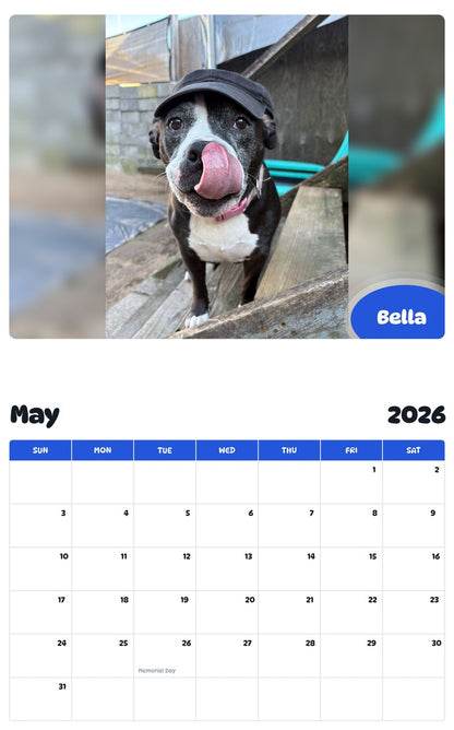 2026 - 2027 Bella - Pawidols Pet Calendar