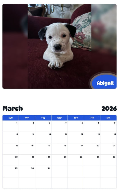 November 2025 - October 2026 Abigail - Pawidols Pet Calendar