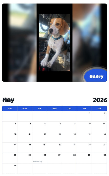 2026 - 2027 Henry - Pawidols Pet Calendar