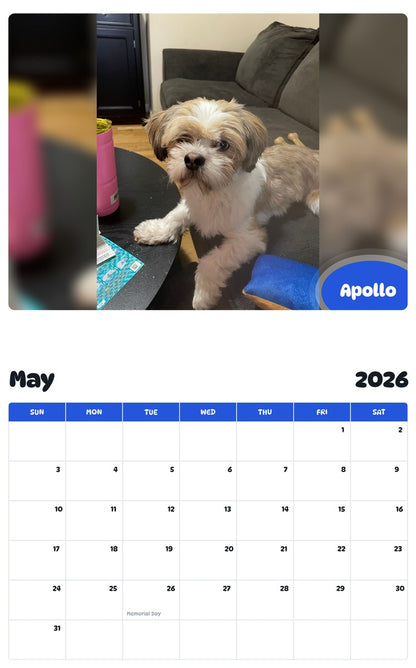 2026 - 2027 Apollo - Pawidols Pet Calendar