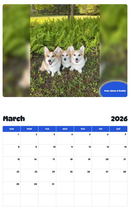 November 2025 - October 2026 Ivan, Spice & Buddy - Pawidols Pet Calendar