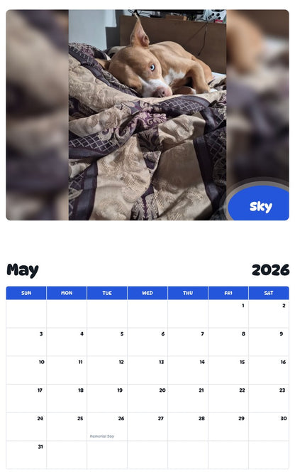 2026 - 2027 Sky - Pawidols Pet Calendar
