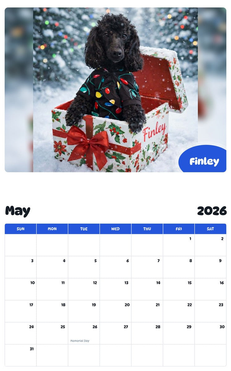 2026 - 2027 Finley - Pawidols Pet Calendar