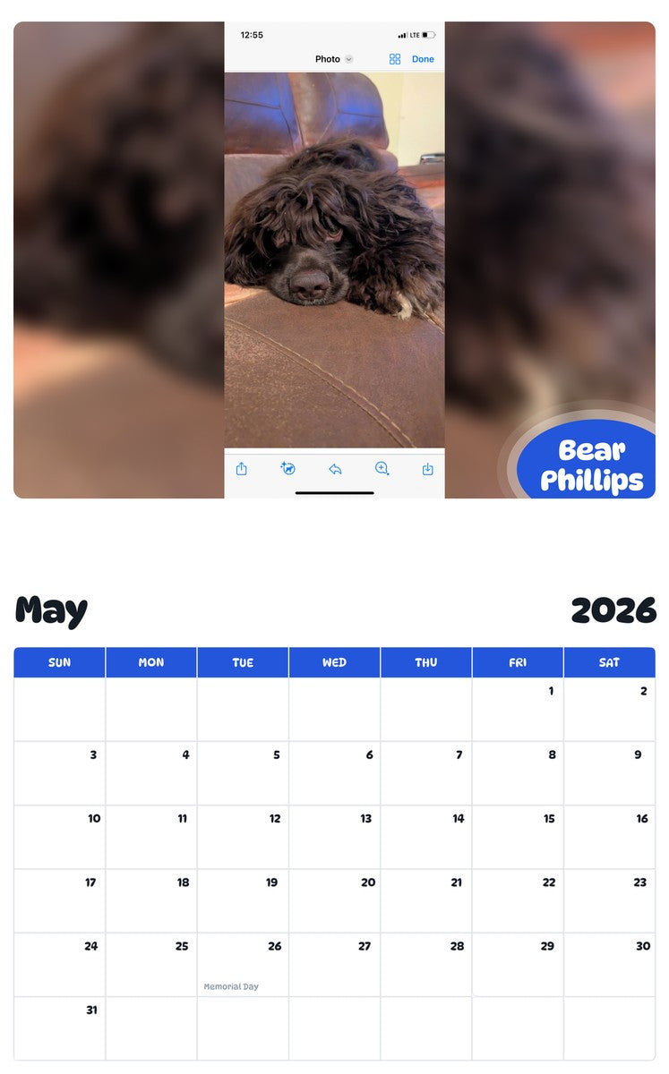 2026 - 2027 Bear Phillips - Pawidols Pet Calendar