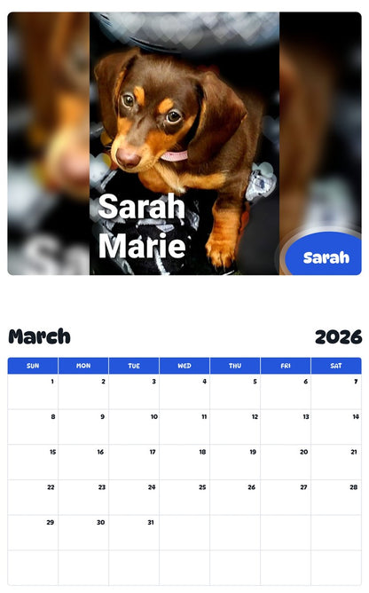 November 2025 - October 2026 Sarah - Pawidols Pet Calendar
