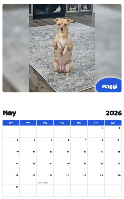 2026 - 2027 Maggi - Pawidols Pet Calendar