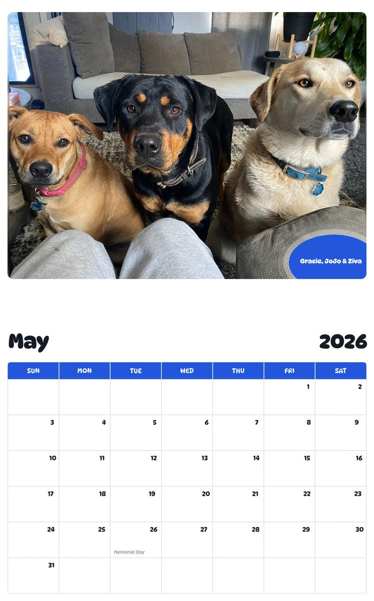 2026 - 2027 Gracie, JoJo & Ziva - Pawidols Pet Calendar