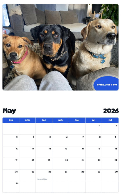 2026 - 2027 Gracie, JoJo & Ziva - Pawidols Pet Calendar