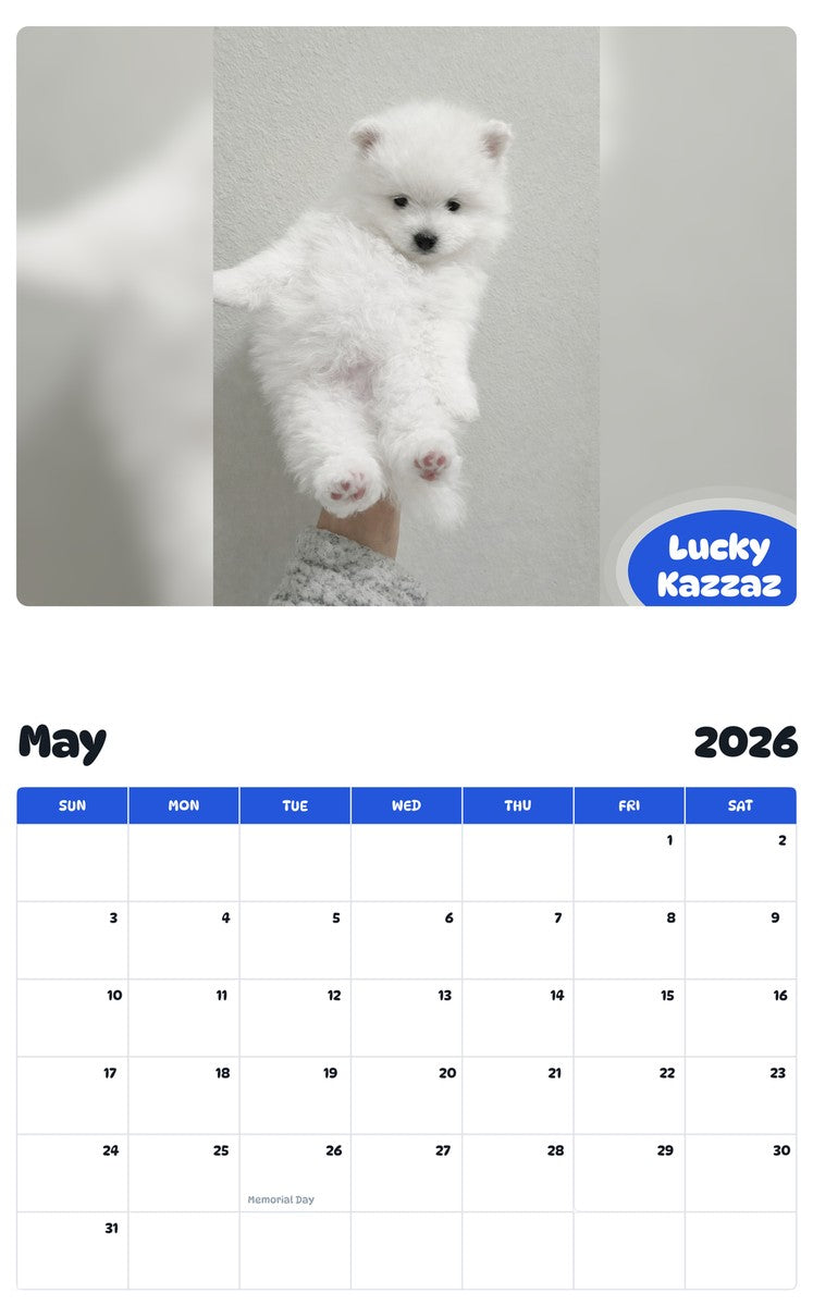 2026 - 2027 Lucky Kazzaz - Pawidols Pet Calendar