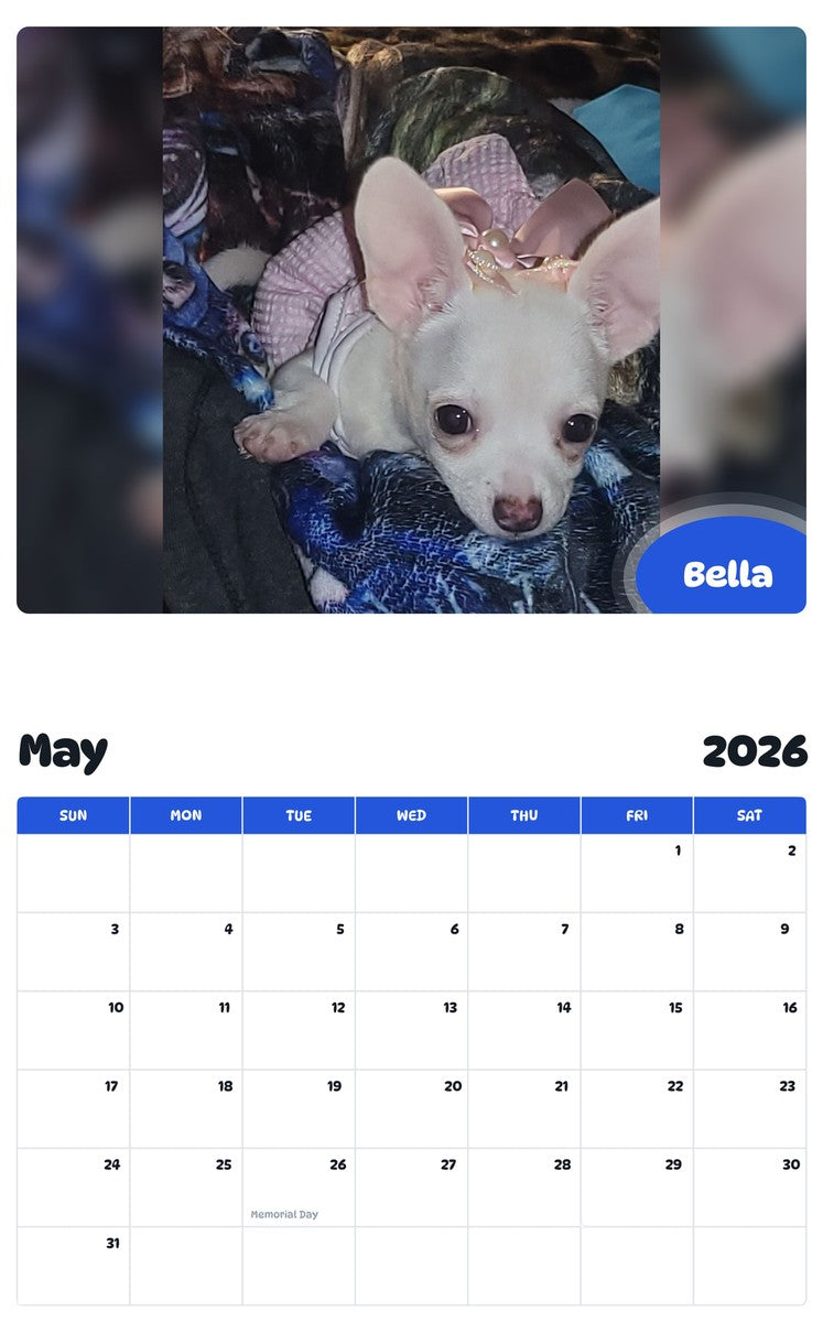 2026 - 2027 Bella - Pawidols Pet Calendar