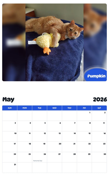 2026 - 2027 Pumpkin - Pawidols Pet Calendar