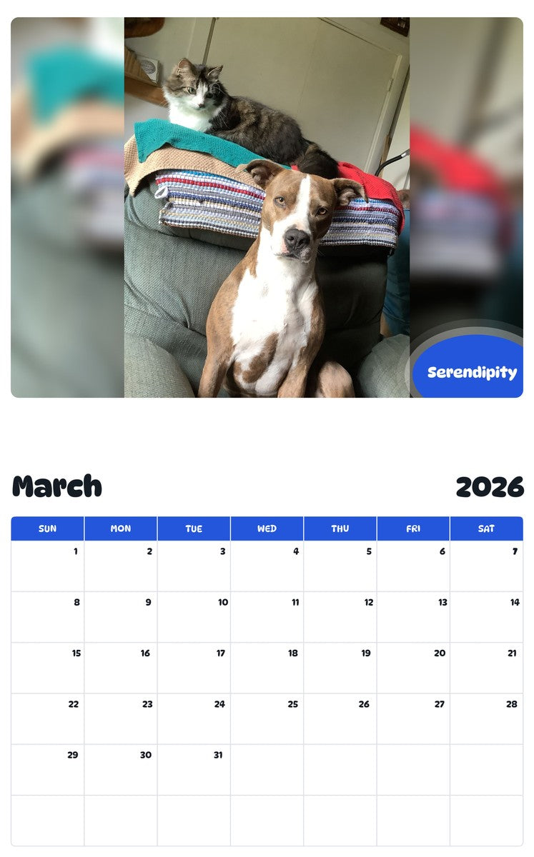 November 2025 - October 2026 Serendipity - Pawidols Pet Calendar