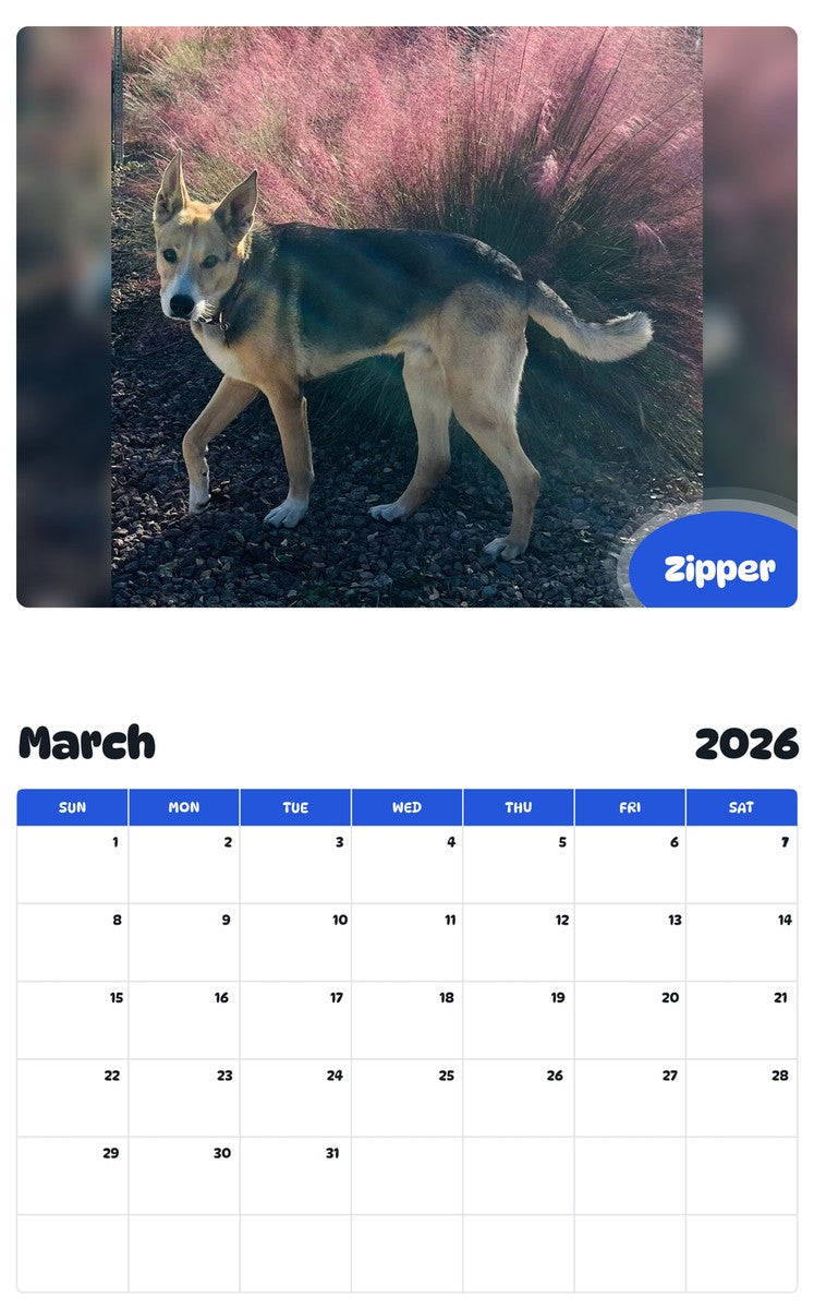 November 2025 - October 2026 Zipper - Pawidols Pet Calendar