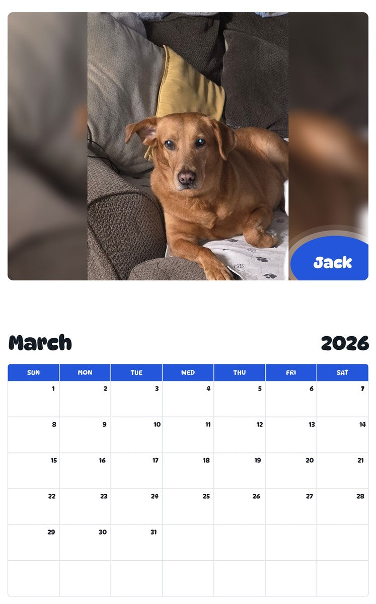 November 2025 - October 2026 Jack - Pawidols Pet Calendar