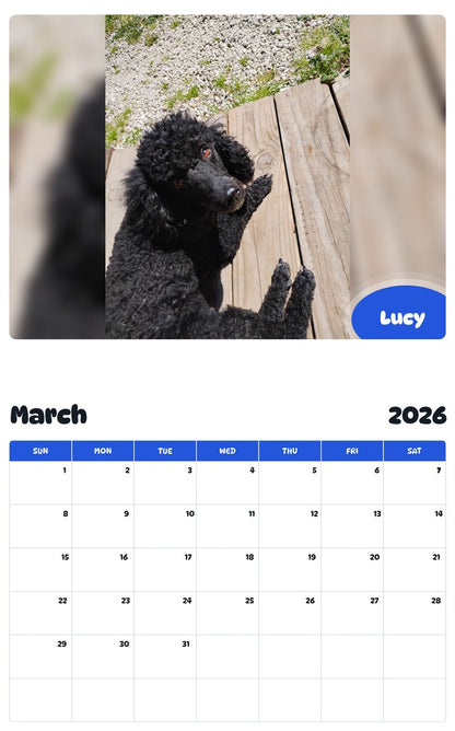 November 2025 - October 2026 Lucy - Pawidols Pet Calendar