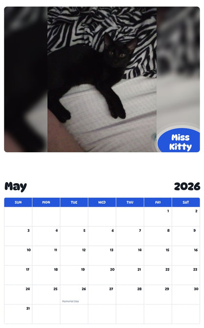 2026 - 2027 Miss Kitty - Pawidols Pet Calendar
